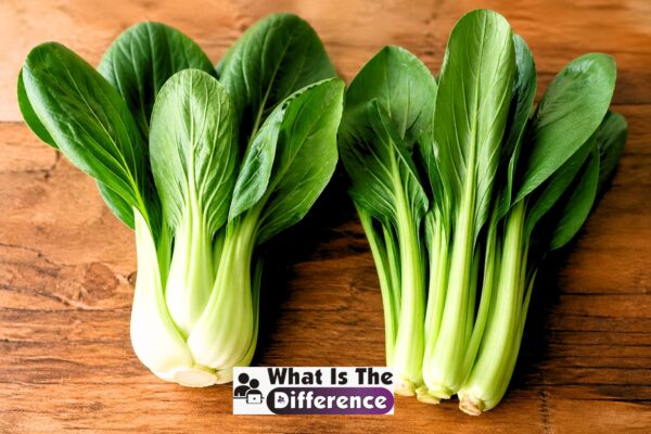 bok choy vs pak choy