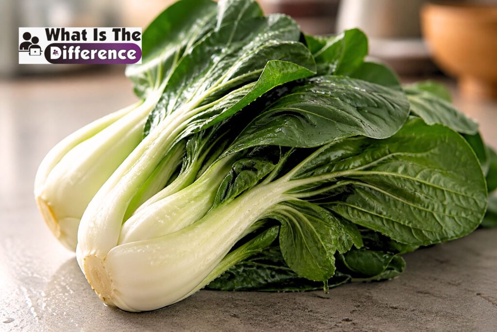 bok choy vs pak choy
