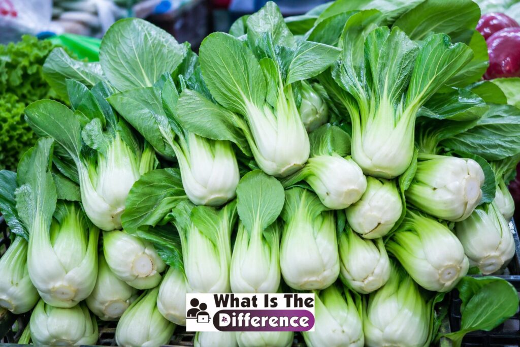 bok choy vs pak choy