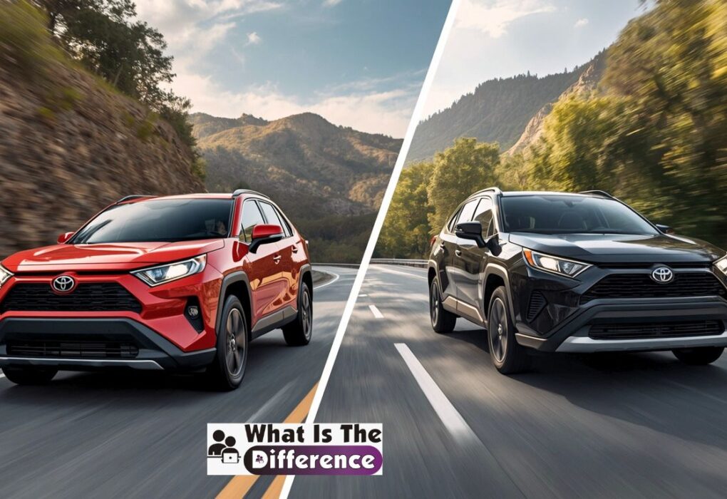 corolla cross vs rav4